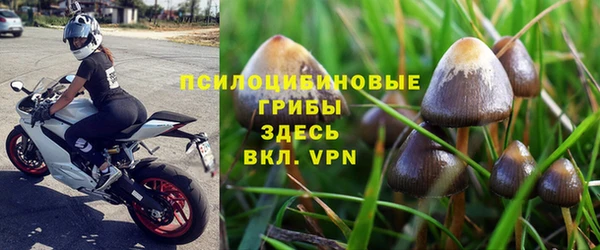 прущий лед Алексин